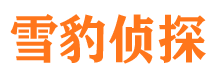 甘井子市私人侦探